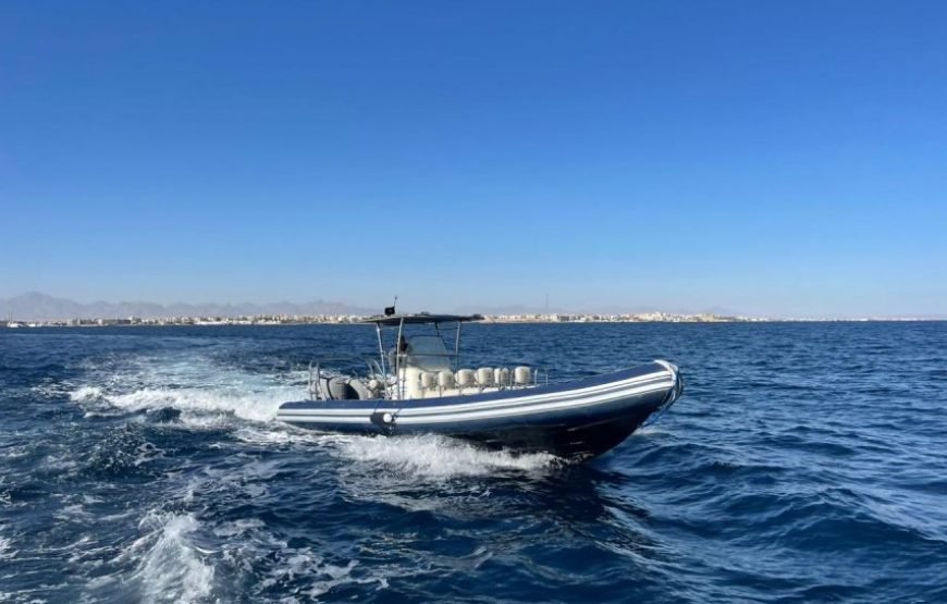 PRIVATE Speed Boat Trip in Hurghada