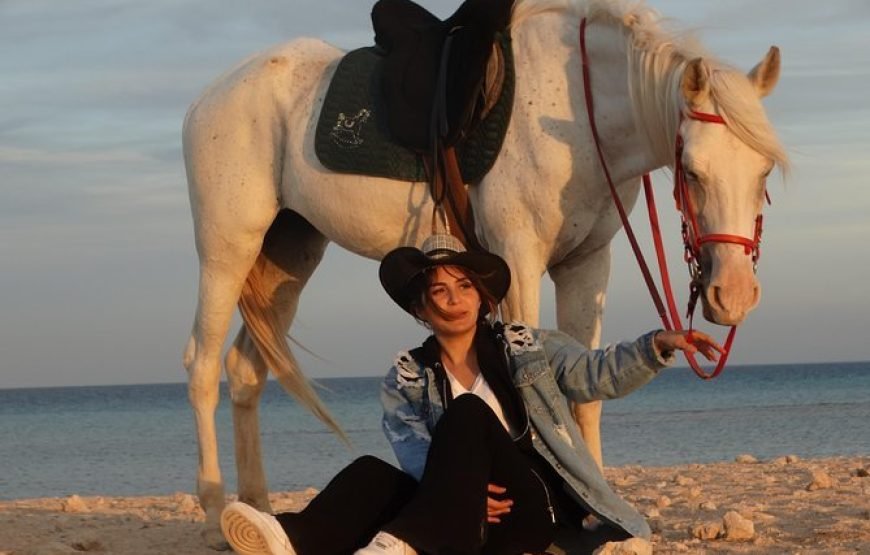Private Horse Riding in Hurghada