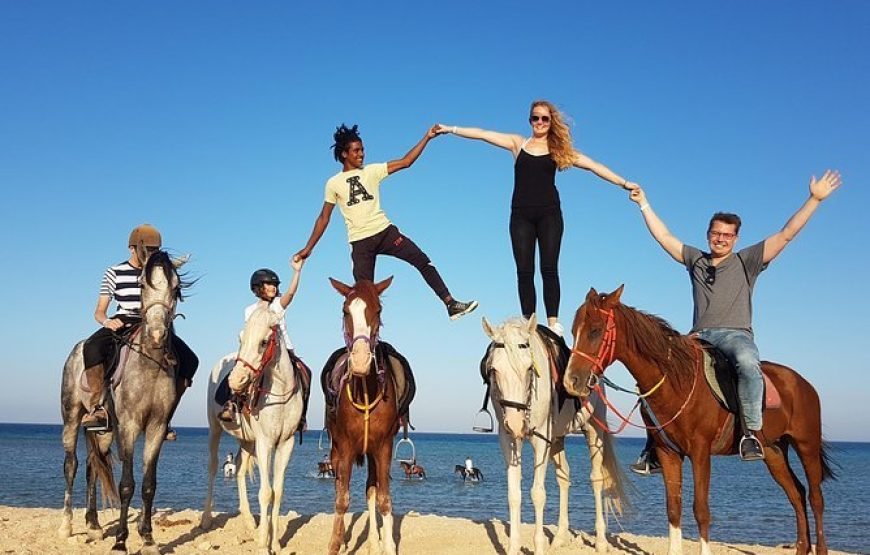 Private Horse Riding in Hurghada