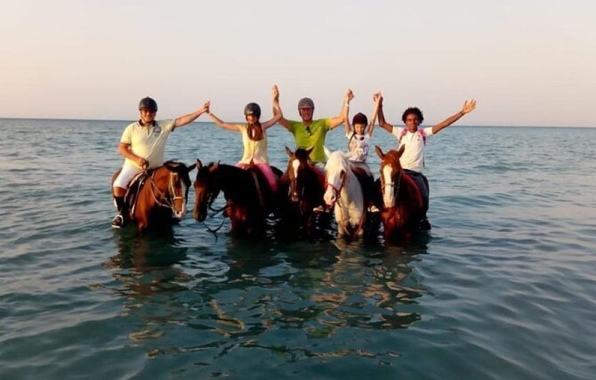 Private Horse Riding in Hurghada