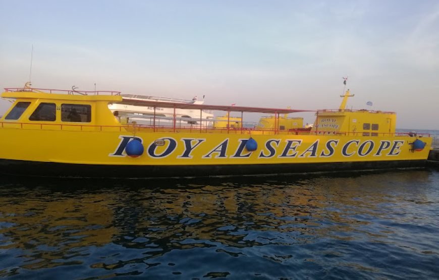 Sea Scope Submarine Adventure in Hurghada with Lovely Jubbly Tours Egypt