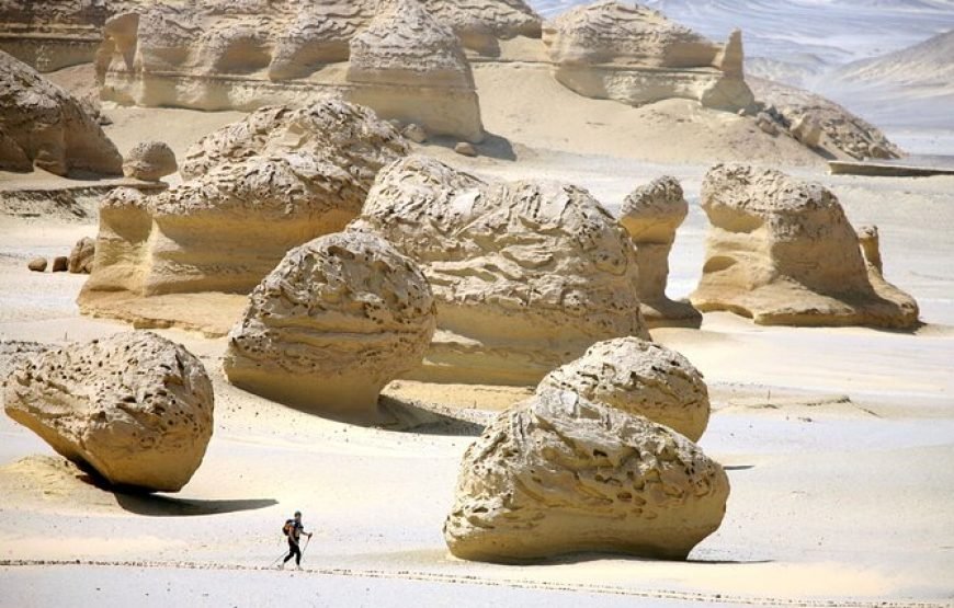 Fayoum City Tour from Cairo
