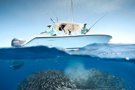 Discover the Hidden Wonders of the Red Sea with Lovely Jubbly Tours Egypt: Hurghada Mermaid Glass-Bottom Boat Tour